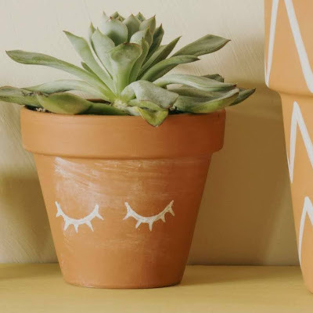 Meet your Posher, Karen m.